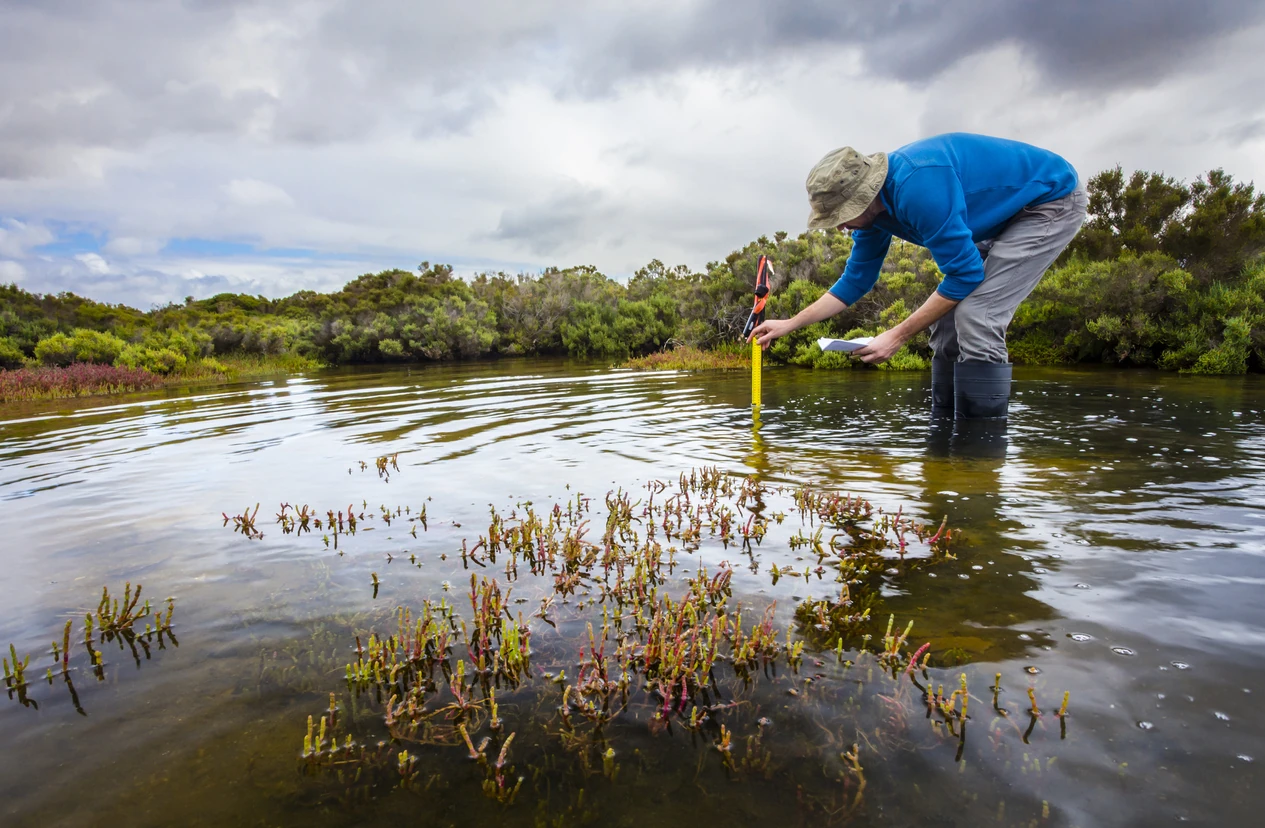 Field biologist measuring a stream cross-section