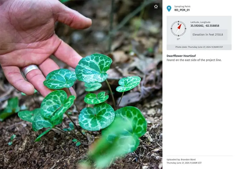 Ecobot Manager geotagged photo detail view showing location metadata and field documentation image